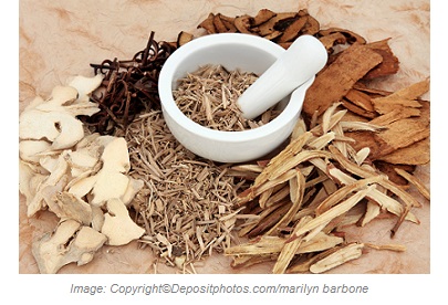 Adaptogens 1 Canadian Academy of Sports Nutrition caasn