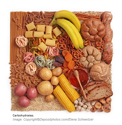 Carbohydrates 1 Canadian Academy of Sports Nutrition caasn