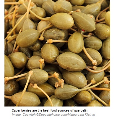 Quercetin Antioxidant 1 Canadian Academy of Sports Nutrition caasn