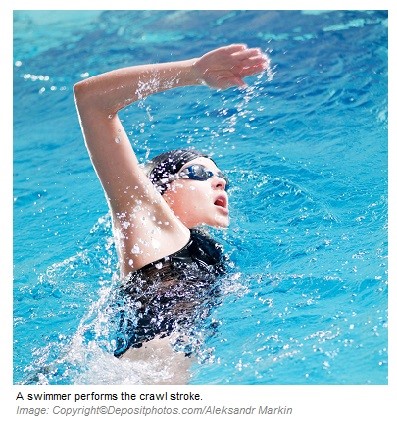 Sports Performance Enhancers Astaxanthin 1 Canadian Academy of Sports Nutrition caasn